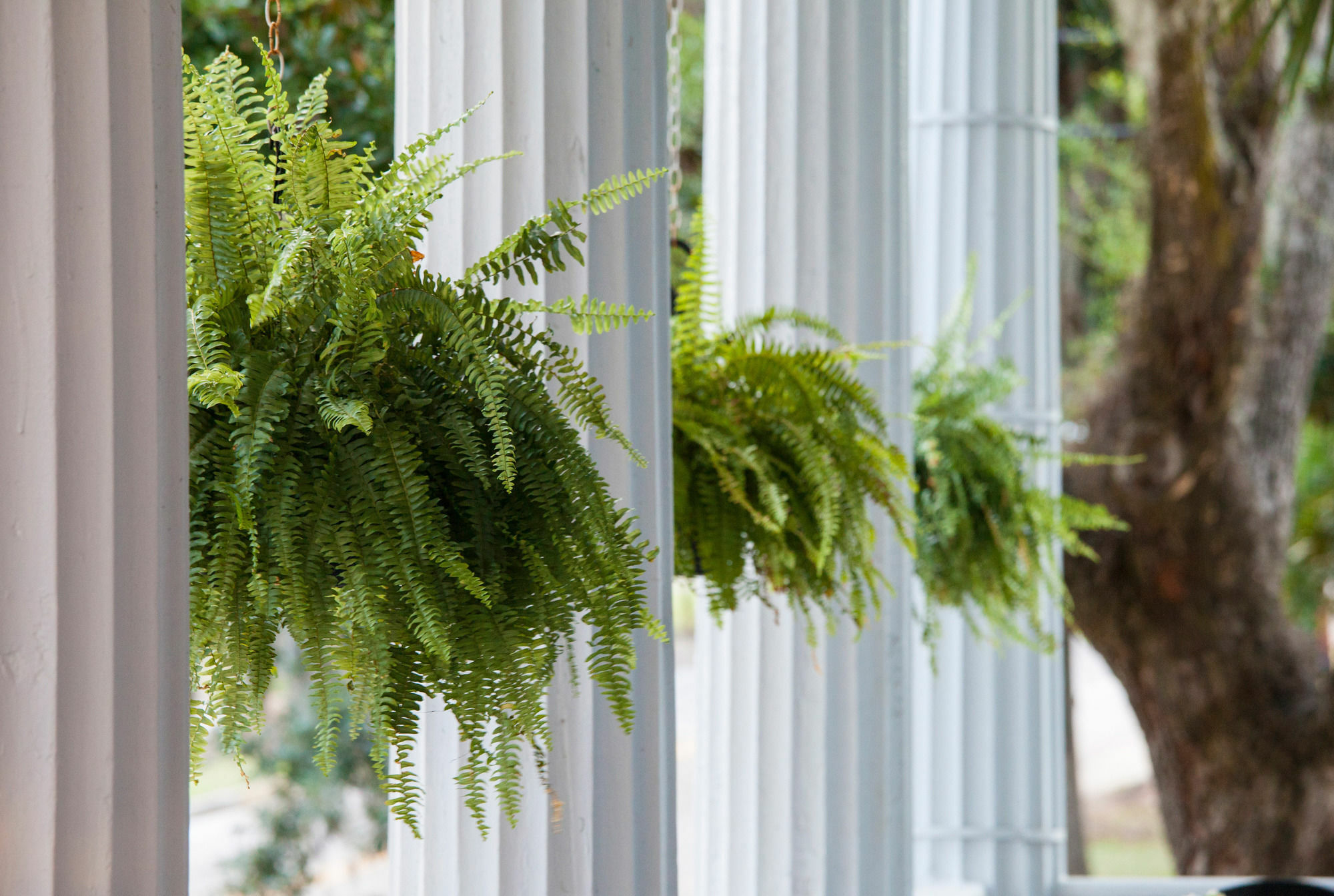 Rhett House Bed & Breakfast Beaufort Exterior foto